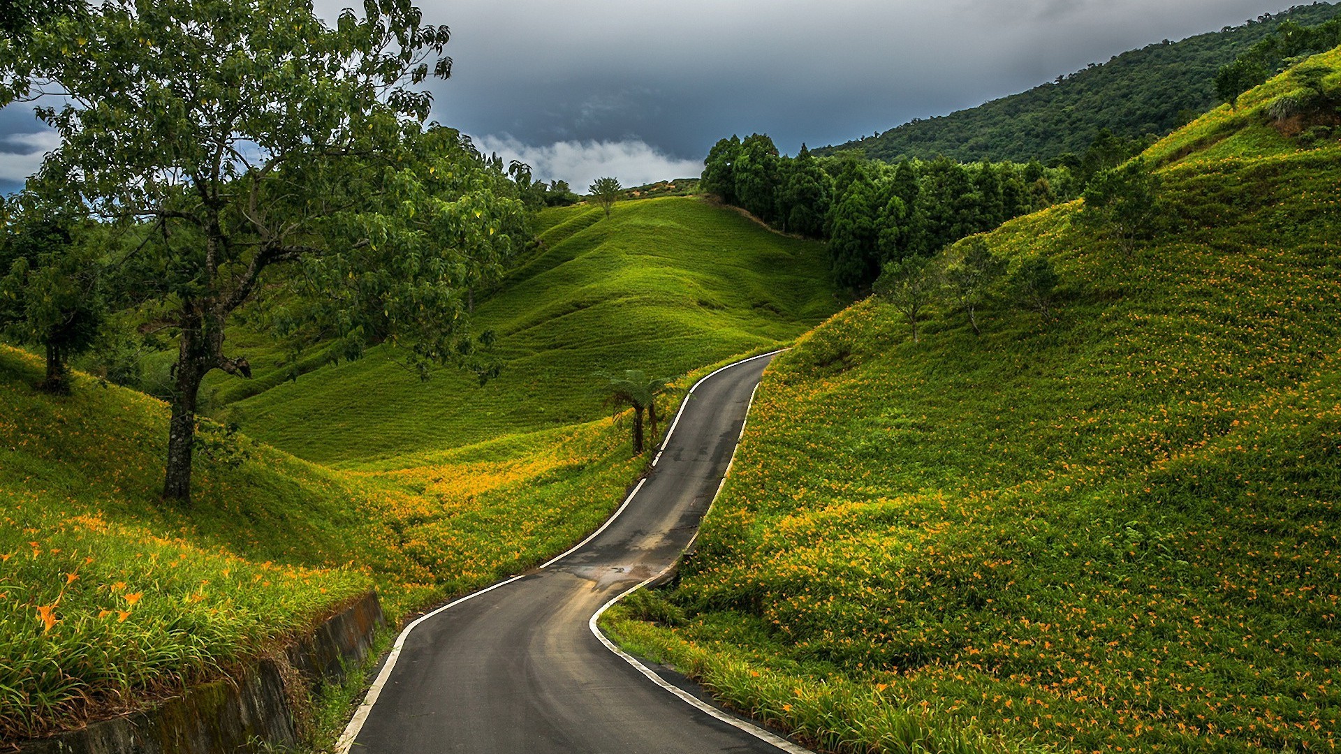 road-through-the-green-hills-nature-hd-wallpaper-1920x1080-3813.jpg