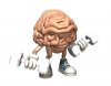 brain-and-muscle-i3.jpg