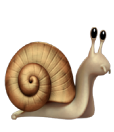 snail