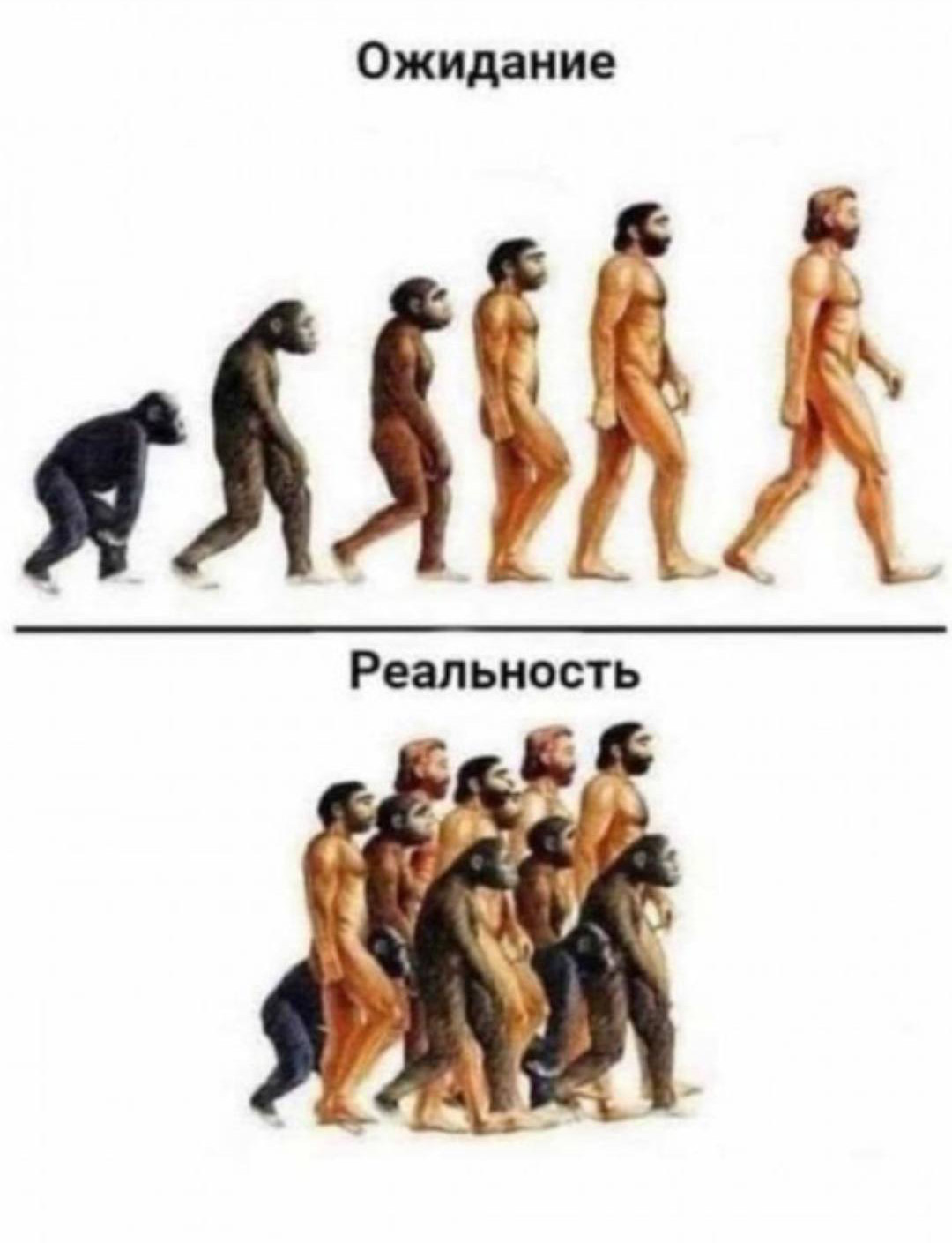 Эволюция - ожидание/реальность